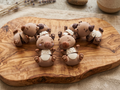 Capybara sleutelhanger